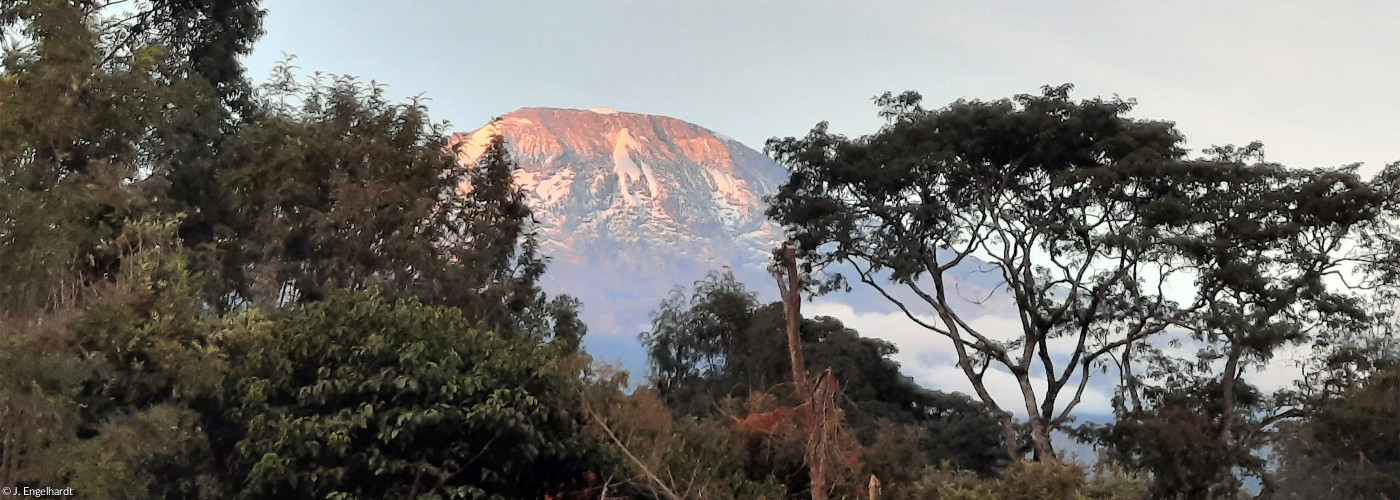 Kilimanjaro